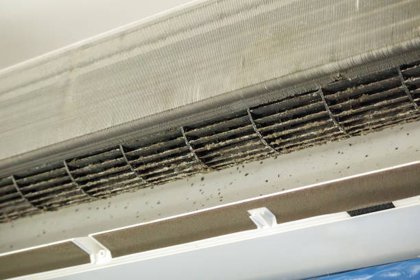Best Dryer Vent Cleaning Services  in Ballwin, MO